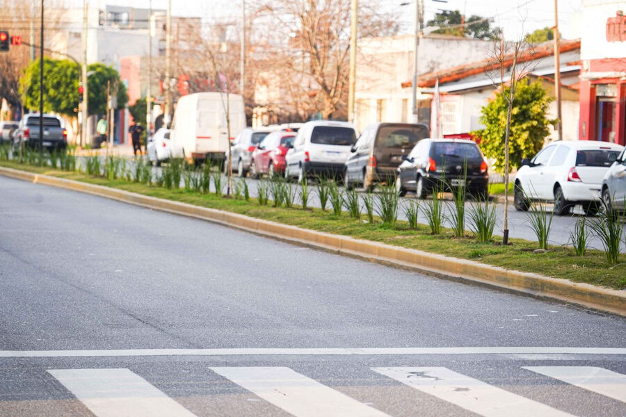 La Plata: En lo que va del año se sumaron más de 10 mil ejemplares al arbolado público