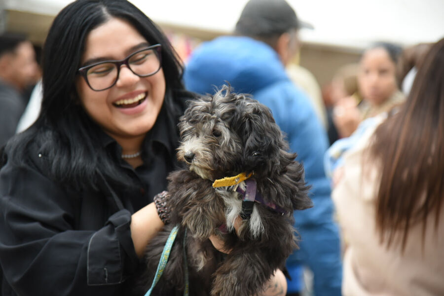 La Plata: Continúan desarrollando jornadas veterinarias gratuitas en distintas localidad de la ciudad