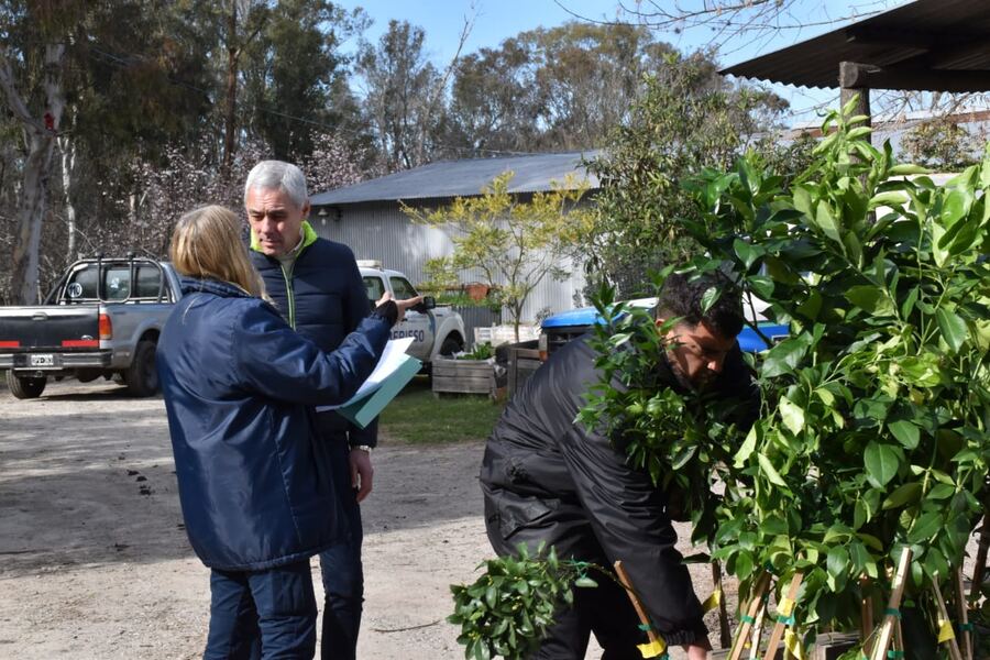 Berisso: Se llevó a cabo la entrega de árboles frutales a productores agroecológicos