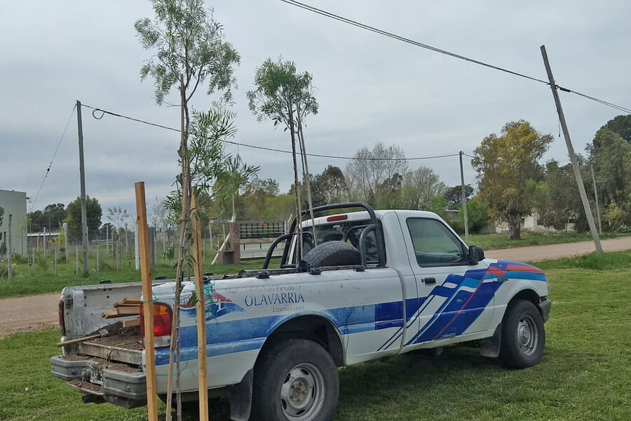Olavarría: Ejecutan la segunda etapa de plantación de árboles en el barrio Pickelado