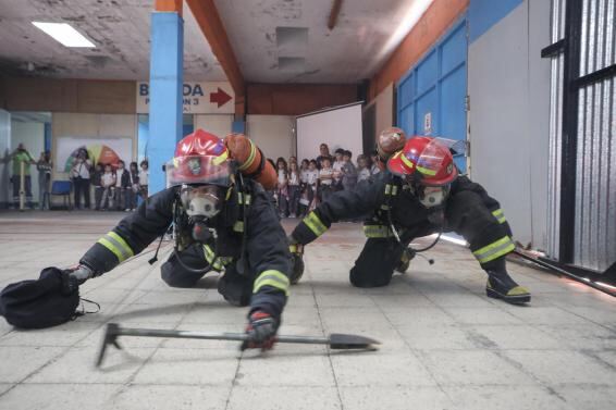 Mar del Plata:  El Municipio presentó un plan Integral para la prevención de incendios forestales