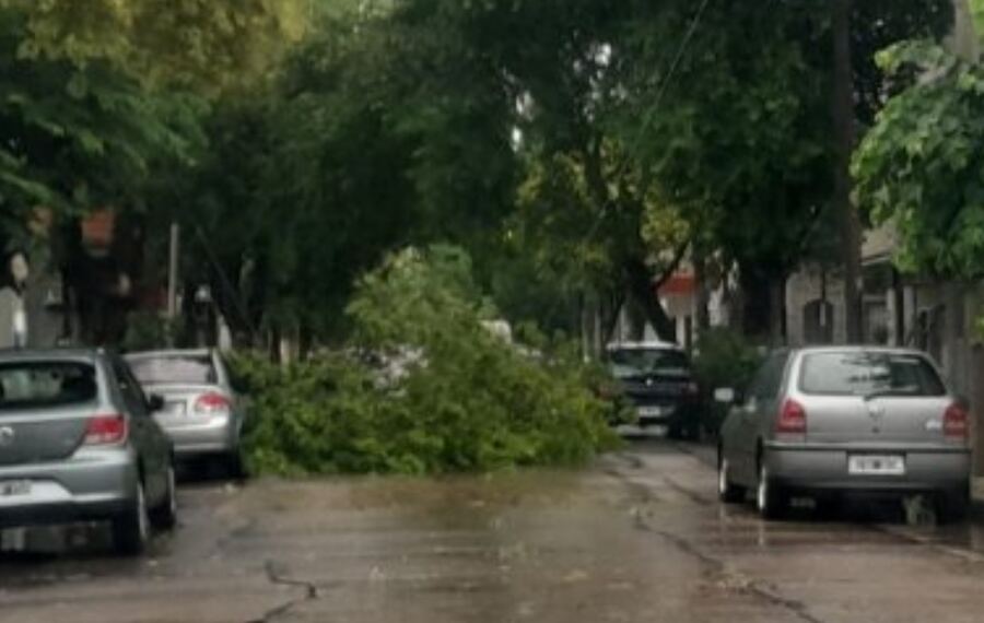 Ensenada: El Municipio continúa con los trabajos en la vía pública tras el temporal