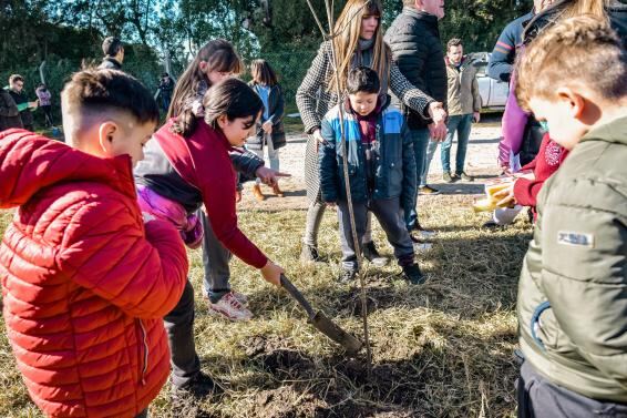 Mar del Plata: En el 2023 se plantaron más de 1300 árboles en distintos barrios de la ciudad