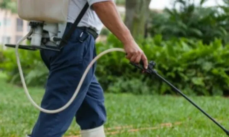Berisso: Alertan por falsos trabajadores municipales que ofrecen fumigación en domicilios