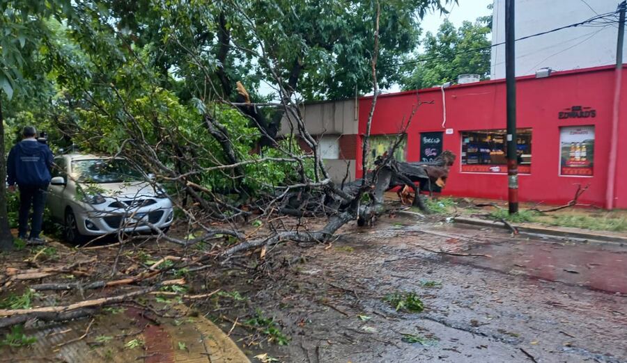 La Plata: Habilitaron más de 20 centros de evacuación en distintas zonas del distrito