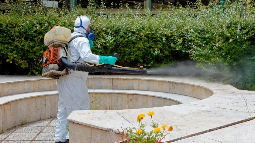 Berazategui: Continúan los trabajos de fumigación en la ciudad