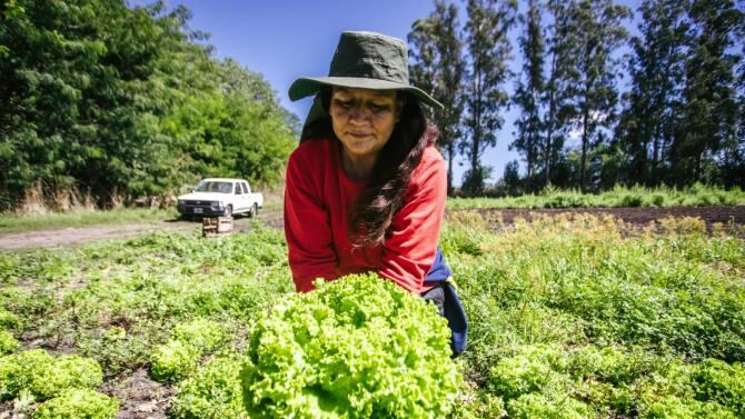 Mar del Plata: El Municipio acompaña la creación de una cooperativa de productoras frutihortícolas de Batán