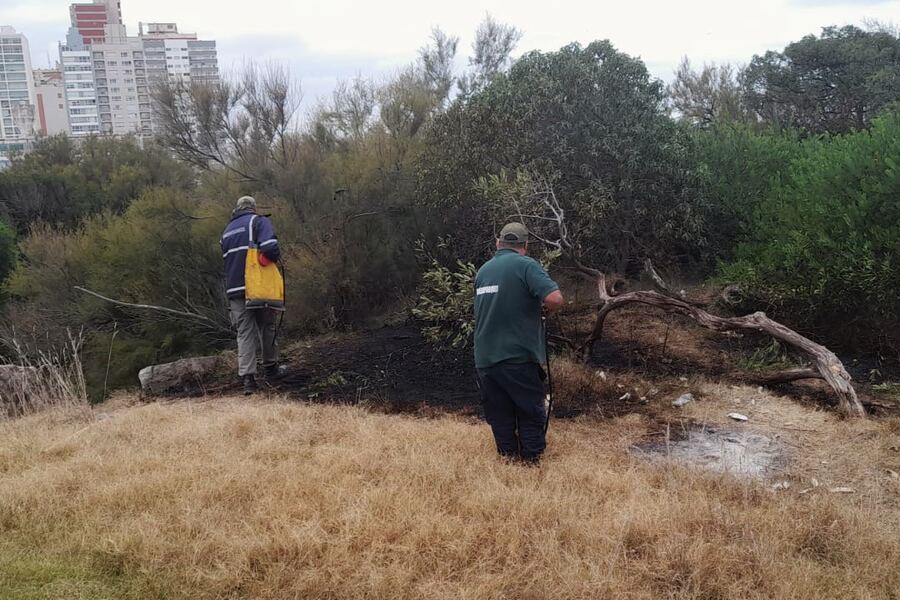 Necochea: Guardaparques extinguieron un peligroso foco de incendio en el Jardín de Rocas
