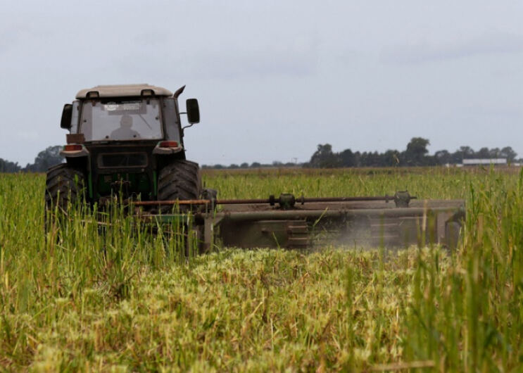 La Provincia lanzó nuevas medidas para el sector agropecuario
