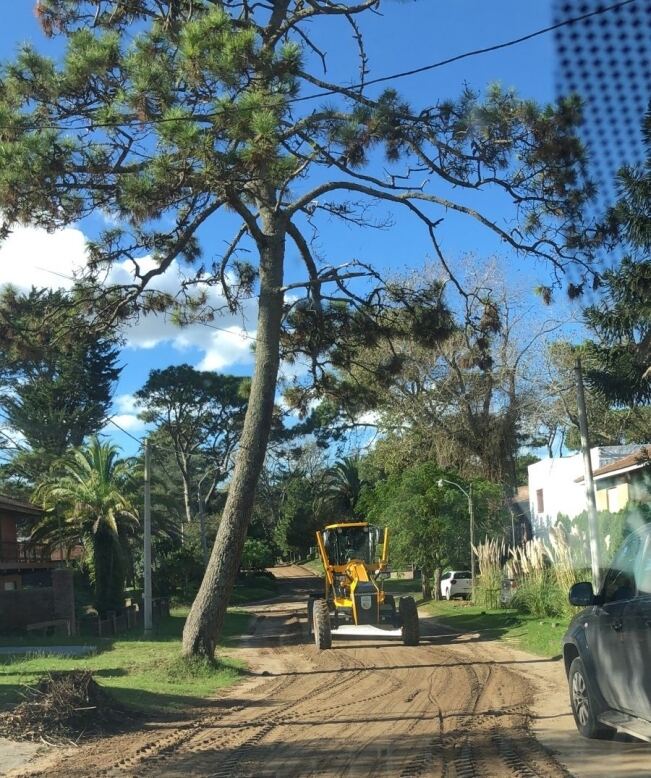 Villa Gesell: La Municipalidad refuerza los servicios de mantenimiento de las calles
