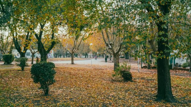 Mar del Plata: El dispositivo Punto Verde estará presente en plazas de la ciudad