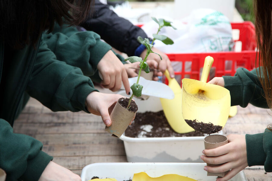 La Plata: Lanzan un programa para promover la responsabilidad ambiental en los jóvenes