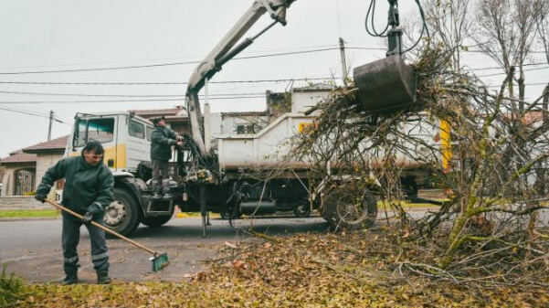 Mar del Plata: El Municipio recupera los restos de poda para cobertura y compostaje