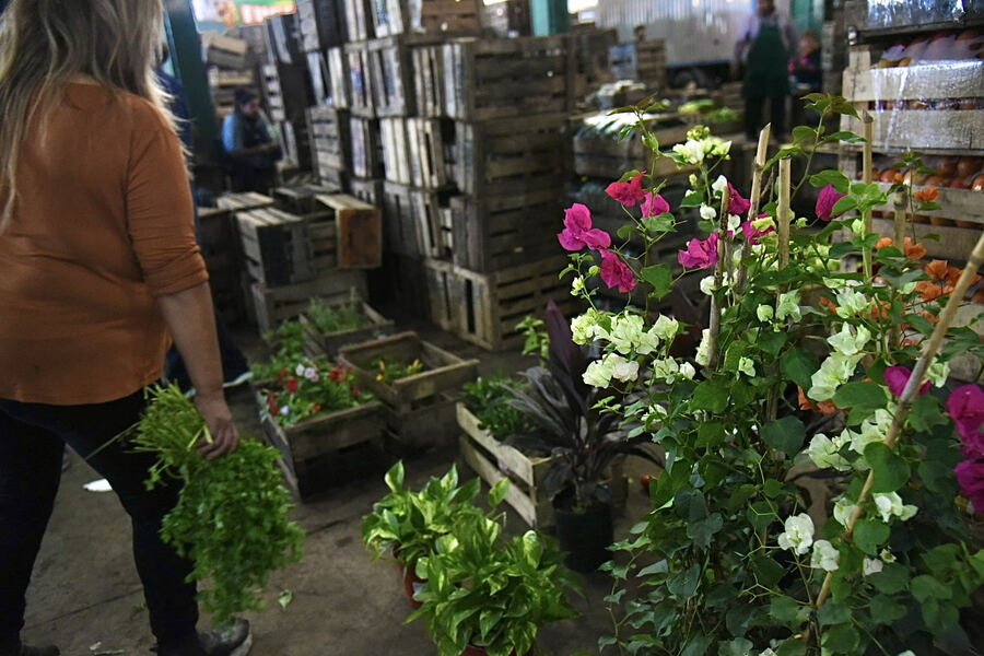 La Plata: El Mercado Regional renovó su listado de productos a precios promocionales