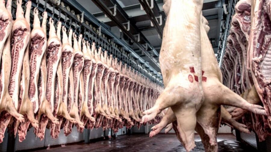 Nuevos casos de triquinosis confirmados en la provincia de Buenos Aires