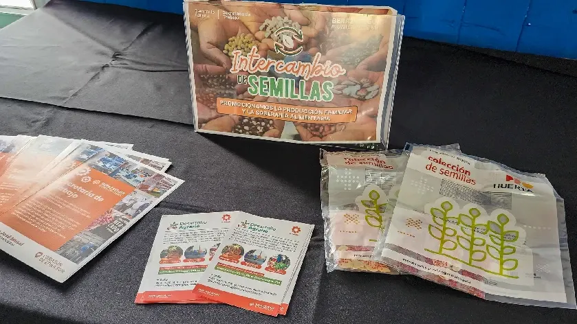 Berazategui: Tuvo lugar una nueva entrega de semillas para huertas familiares
