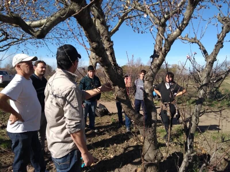 Berisso: Dictarán un curso gratuito de poda abierto a toda la comunidad