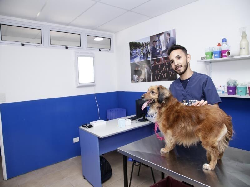 Lomas de Zamora: El Hospital de Mascotas realizó más de 4 mil atenciones en agosto