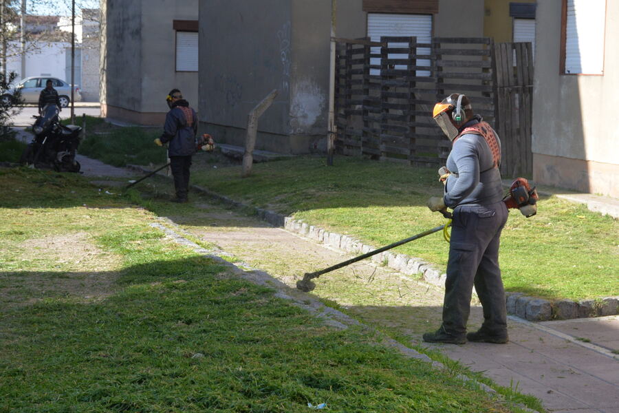 Olavarría: Llevan adelante trabajos de limpieza y mantenimiento en el barrio Amparo Castro