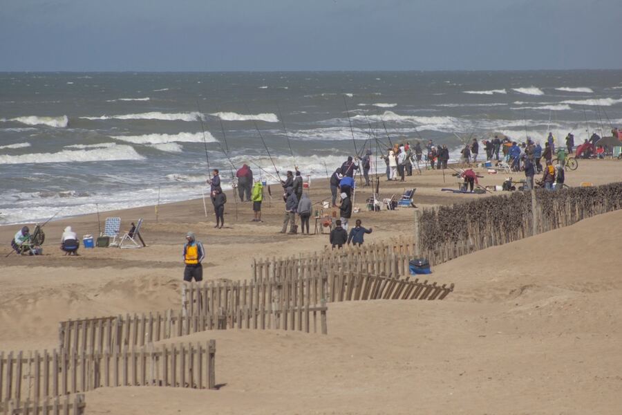 Villa Gesell: Hay más de 630 inscriptos para la Fiesta Nacional de la Brótola