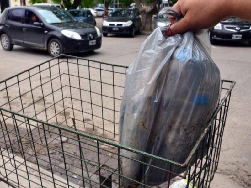 Berisso: Así funcionarán los servicios de recolección durante el feriado de Carnaval