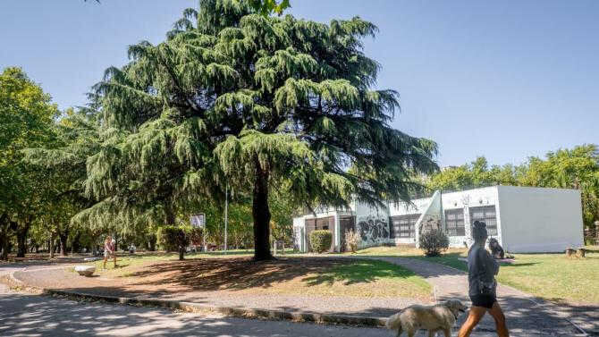 Mar del Plata: Clown, literatura y música en la Biblioteca Parlante durante marzo