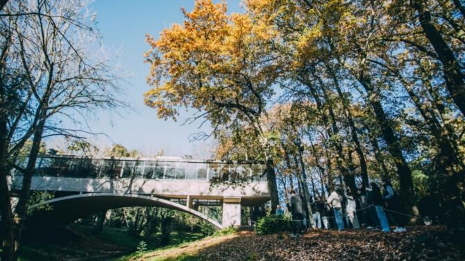 Mar del Plata: La Casa sobre el Arroyo ofrecerá en junio visitas guiadas y un recorrido por su patrimonio verde