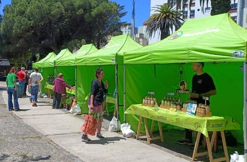 Necochea: Llega una nueva edición de la feria El Mercado