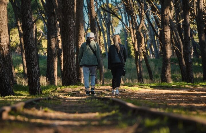Necochea: Llegan diversas actividades para el próximo fin de semana