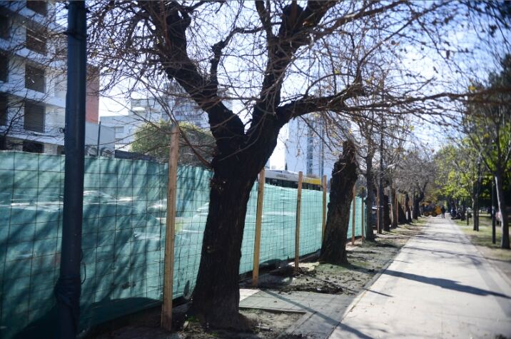 La Plata: Comienza la puesta en valor integral de Parque Saavedra