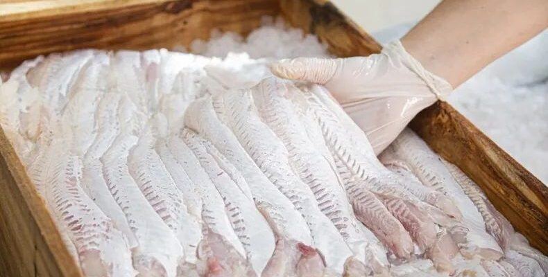 La Costa: El Mercado Itinerante de la Pesca Artesanal llega a San Clemente y Mar de Ajó