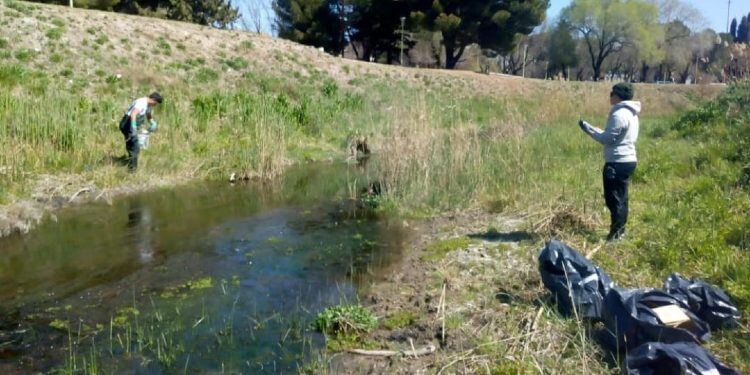 Bahía Blanca: Realizarán la 8° edición del Censo de Residuos de la Costa Bonaerense