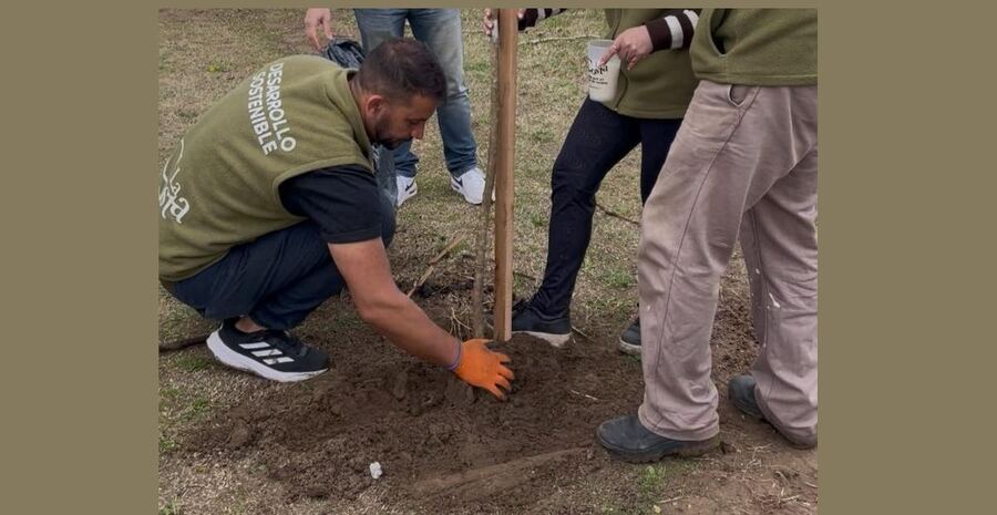 La Costa: El Plan de Arbolado Municipal alcanza los 1.300 ejemplares